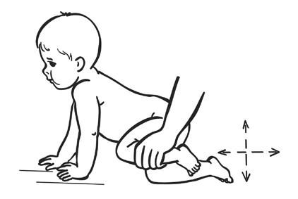Елена Архипова - Ранняя диагностика и коррекция проблем развития. Первый год...
