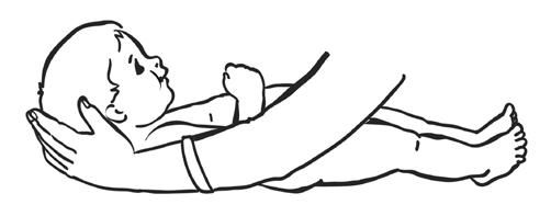 Елена Архипова - Ранняя диагностика и коррекция проблем развития. Первый год...