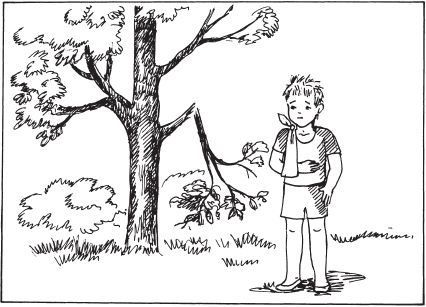 Елена Стребелева - Формирование мышления у детей с отклонениями в развитии