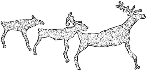 Роберто Боси - Лапландцы. Охотники за северными оленями