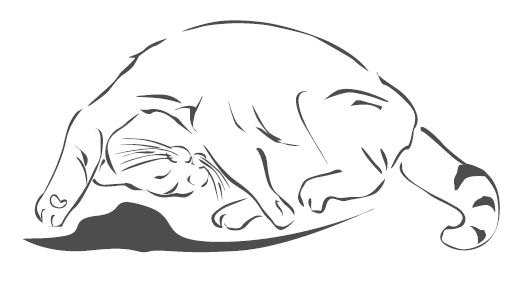 Джеймс Боуэн - Подарок от кота Боба. Как уличный кот помог человеку полюбить...