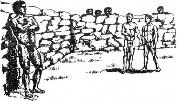 Виктор Гончаров - Век гигантов