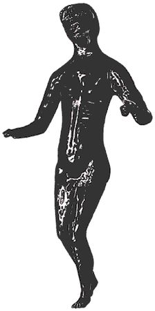 Энн Росс - Кельты-язычники. Быт, религия, культура