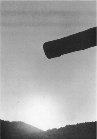 Чогьям Ринпоче - Истинное восприятие. Путь дхармического искусства