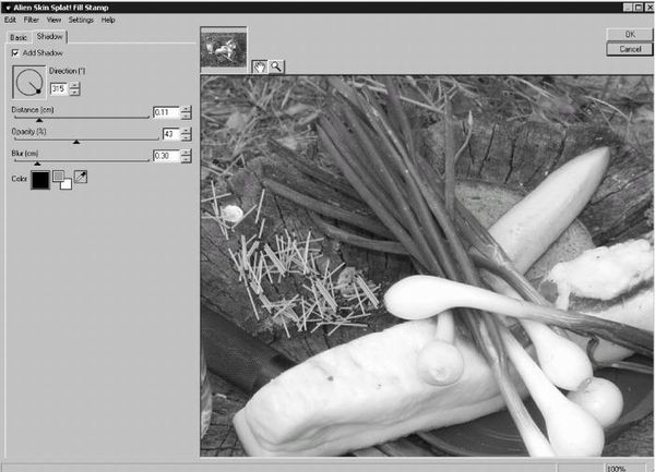 Сергей Бондаренко, Марина Бондаренко - Photoshop. Лучшие фильтры