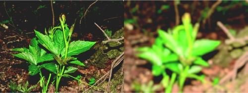 Сергей Бондаренко, Марина Бондаренко - Photoshop. Лучшие фильтры