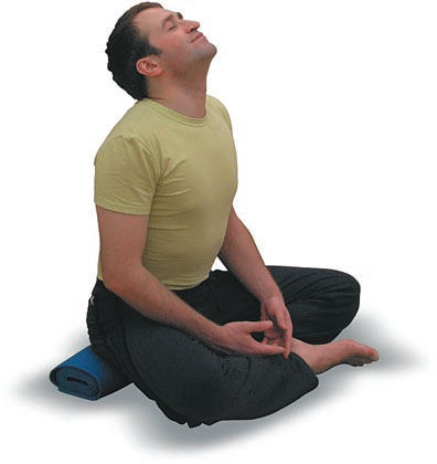 Андрей Липень - Йога. Большая книга лучших асан