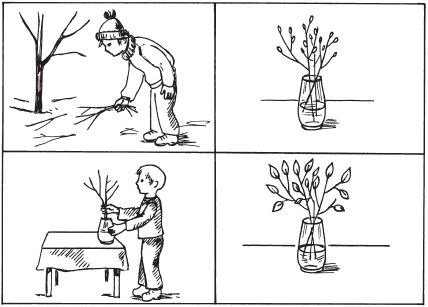 Елена Стребелева - Формирование мышления у детей с отклонениями в развитии