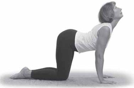 Татьяна Игнатьева - Лечебная йога. 50 лучших дыхательных упражнений и асан