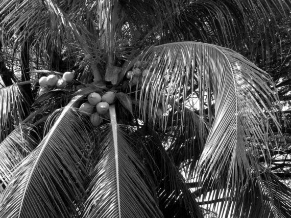 Николай Непомнящий - 100 великих загадок Индии