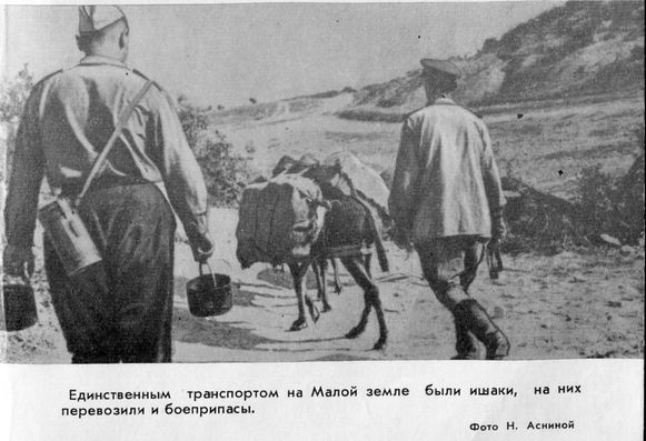 Георгий Соколов - Малая земля