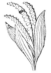 Сборник - Природа донского края