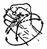 Юрий Сенчуков - Да-цзе-шу - искусство пресечения боя