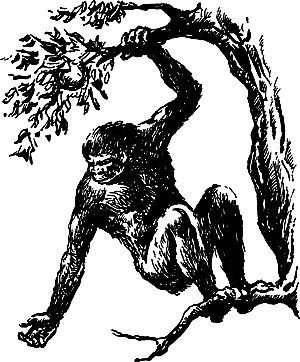 Димитр Ангелов, Йозеф Аугуста и др. - Исчезнувший мир