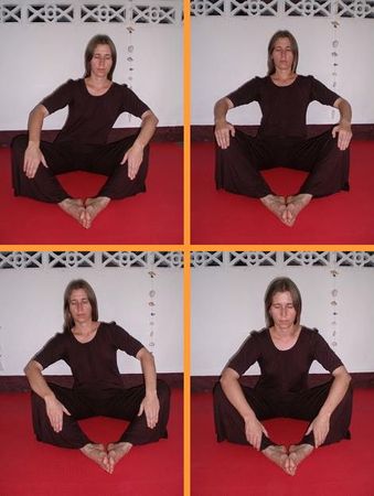 Шанти Натхини - Женские даосские практики: Период подготовки