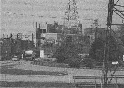 Дэвид Бирн - Весь мир: Записки велосипедиста