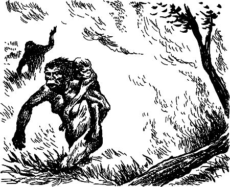 Димитр Ангелов, Йозеф Аугуста и др. - Исчезнувший мир