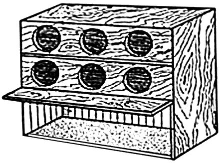 Юрий Пернатьев - Разведение и выращивание кур обычных пород и бройлеров