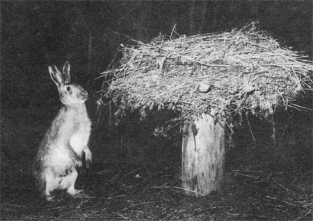 Сборник - Природа донского края