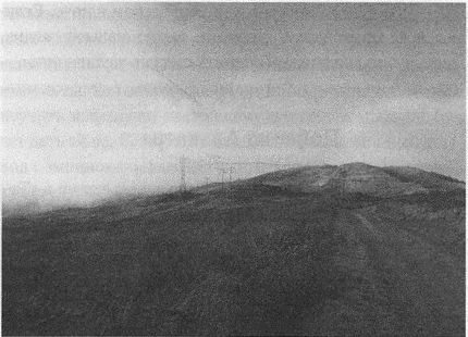 Дэвид Бирн - Весь мир: Записки велосипедиста