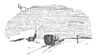 Бэла Прилежаева-Барская - Крепостной художник