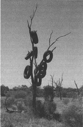 Дэвид Бирн - Весь мир: Записки велосипедиста