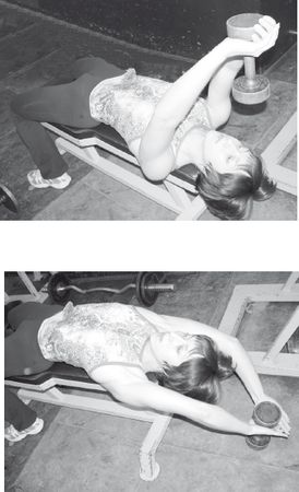 Инесса Шипилина, Игорь Самохин - Фитнес-спорт: учебник для студентов