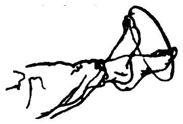 Юрий Сенчуков - Да-цзе-шу - искусство пресечения боя