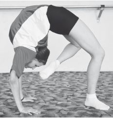 Инесса Шипилина, Игорь Самохин - Фитнес-спорт: учебник для студентов