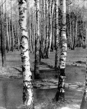 Леонид Фёдоров - Как просыпается Солнце