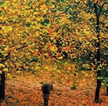 Анна Фельтина - Все об Испании