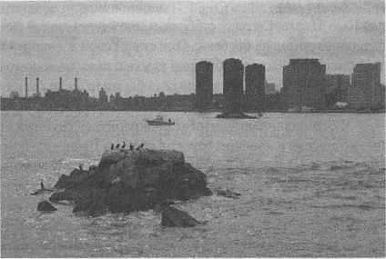 Дэвид Бирн - Весь мир: Записки велосипедиста