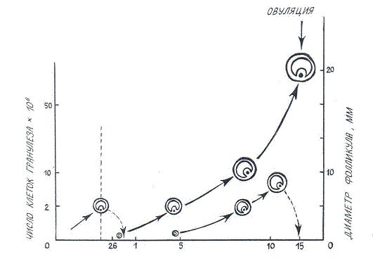 Мария Лазурная - Как достичь надежности в близких отношениях и уверенности в себе