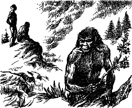 Димитр Ангелов, Йозеф Аугуста и др. - Исчезнувший мир