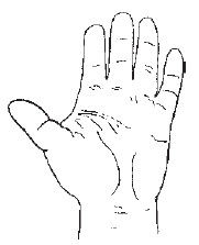 Теодор Шварц - Большая книга тайных знаний. Нумерология. Графология....