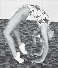 Инесса Шипилина, Игорь Самохин - Фитнес-спорт: учебник для студентов