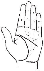 Теодор Шварц - Большая книга тайных знаний. Нумерология. Графология....