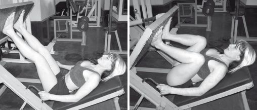 Инесса Шипилина, Игорь Самохин - Фитнес-спорт: учебник для студентов