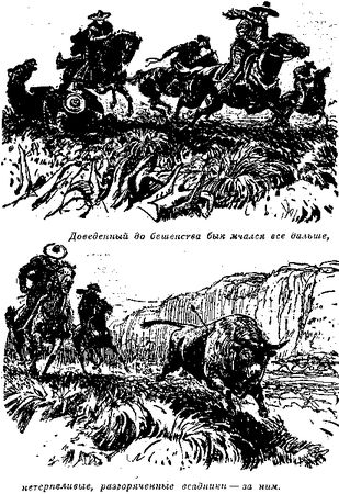 Томас Рид - Собрание сочинений, том 1. Белый вождь. Квартеронка