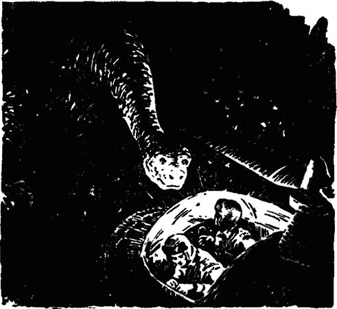 Борис Ляпунов - По следам Жюля Верна