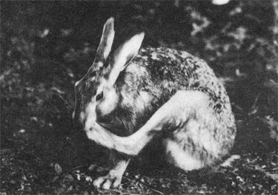 Сборник - Природа донского края