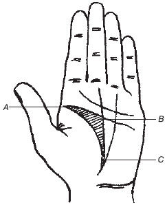 Теодор Шварц - Большая книга тайных знаний. Нумерология. Графология....
