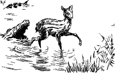 Димитр Ангелов, Йозеф Аугуста и др. - Исчезнувший мир