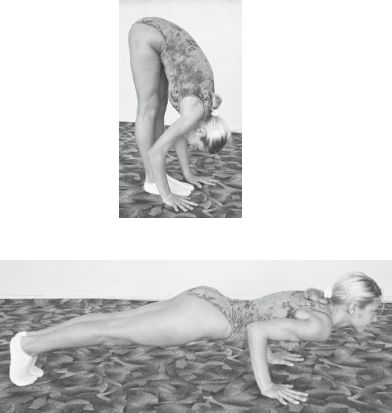 Инесса Шипилина, Игорь Самохин - Фитнес-спорт: учебник для студентов