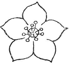 Сборник - Природа донского края