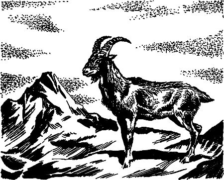 Димитр Ангелов, Йозеф Аугуста и др. - Исчезнувший мир