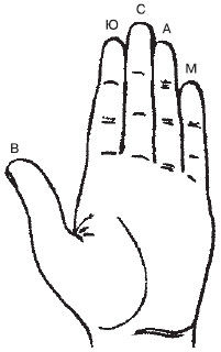 Теодор Шварц - Большая книга тайных знаний. Нумерология. Графология....