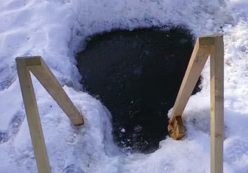 Андрей Кашкаров - Дачная энциклопедия опытных советов