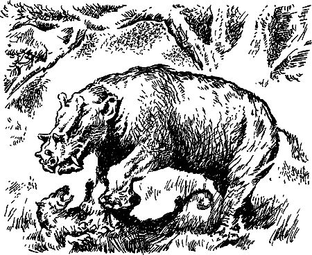 Димитр Ангелов, Йозеф Аугуста и др. - Исчезнувший мир