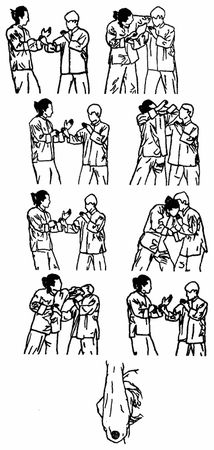 Юрий Сенчуков - Да-цзе-шу - искусство пресечения боя